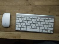 Apple Magic Keyboard + Mouse