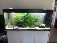 akvarium Juwel Rio 240 liter 