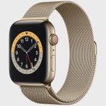 Apple Watch Series 6 Stainless Steel Gold 44mm