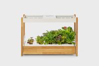 Click and Grow 25 Smart Garden Inomhusodling