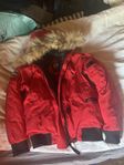 dun jacka Canada goose 