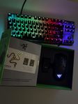 SteelSeries Apex Pro TKL + Razer Viper Ultimate (trådlös)