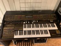 Orgel - Wersi CD 600 CP