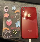 Iphone XR (Product Red) (Topp skick)