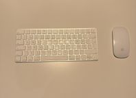 Apple Keyboard & Mouse