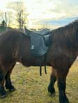 Stormrider Thor 17”