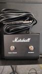 Marshall, Laney, Peavey, LINE 6 footswitch, pedalomkopplare