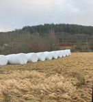 Hö ensilagebalar