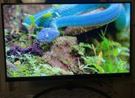 Philips 4K Ultra HD LED-skärm