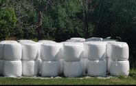Hösilage 