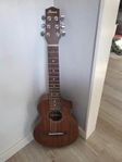 Ibanez EWP14-OPN