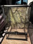terrarium