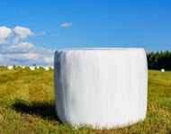 Rundbals ensilage 