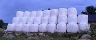Hösilage