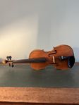 Violin, fiol