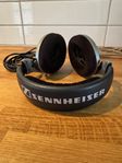 Sennheiser HD555