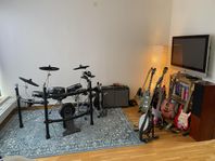 Fender 100 Champion