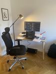 Adjustable Sit-Stand Desk Riser