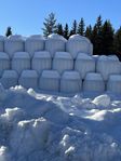 hösilage hö ensilage eko krav