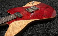 Telemaster