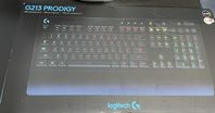 G213 prodigy