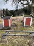 Två trågkupor