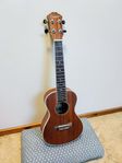Ukulele