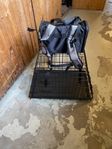 Hundtransport