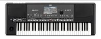 korg pa600 QT or keyboard