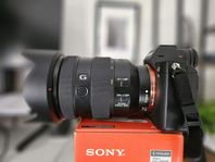 Sony FE 24-105 F4 G OSS (SEL24105G)