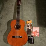 Akustisk gitarr