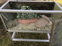 Terrarium/ Akvarium med lös aluminiumställning under. 