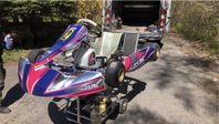 kosmic 125 junior kart