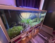 Fint Akvarium 540 liters