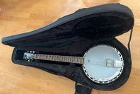 Fender Rustler gitarrbanjo, banjo gitarr