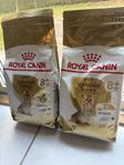 Hundmat Royal Canin Yorkshire Terrier Adult