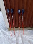 World Cup Pro Carbon SL Stavar