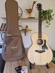 Taylor 114e med gigbag