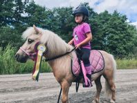 Shetlandsvalack