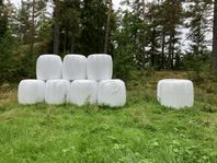 Hösilage
