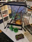 Terrarium med tillbehör