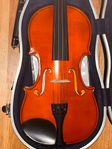 Violin 