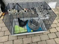 Smådjursbur med tillbehör