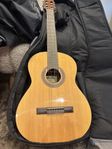 Gitarr med fodral
