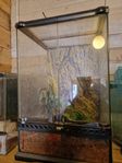 terrarium 