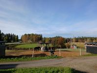 Stallplats Tväråmark 