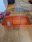 hamster eller marsvin bur