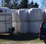 Häst ensilage 
