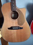 Fender