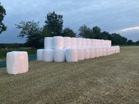 Hösilage